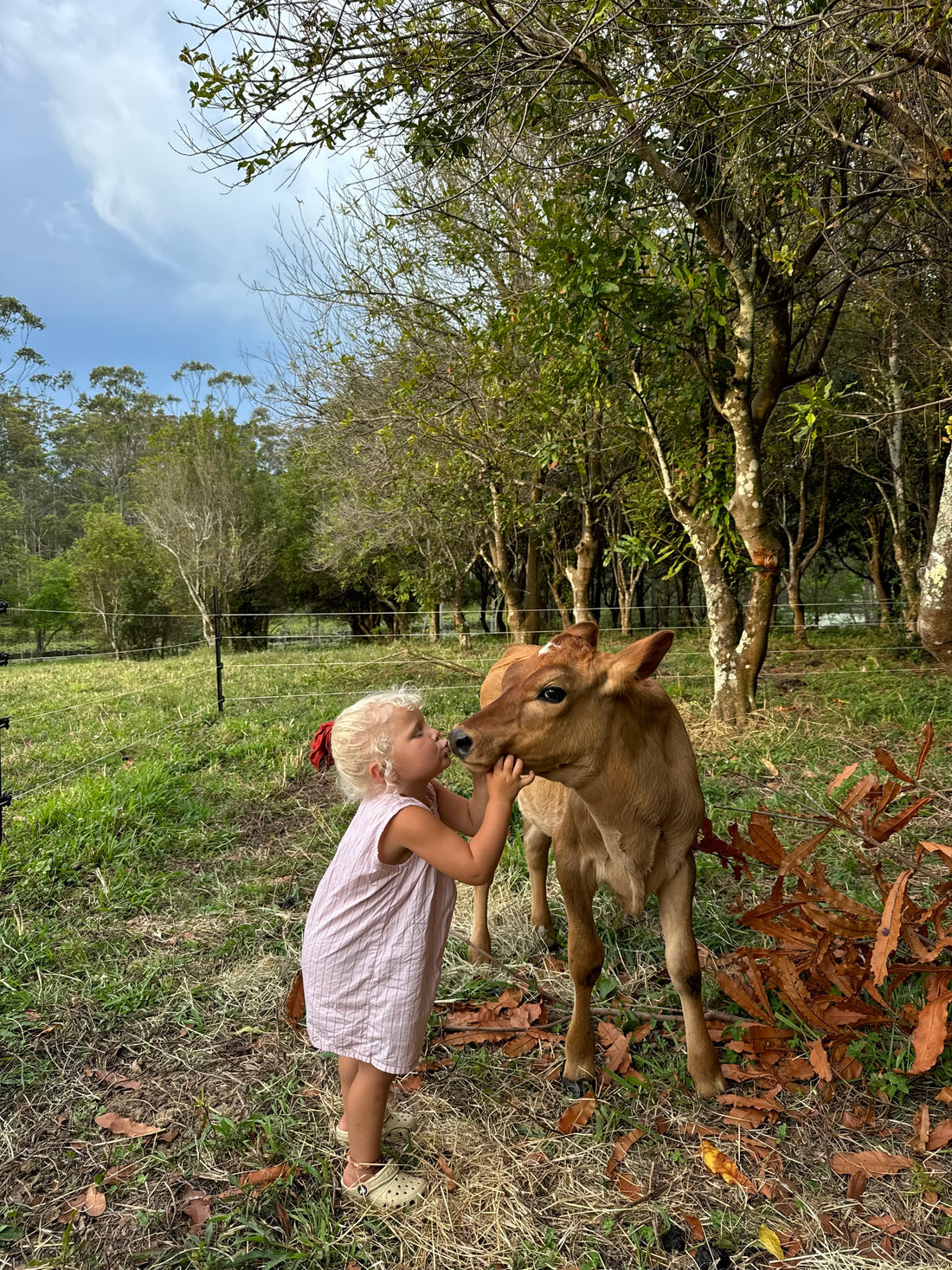ILLOURA SADIE OVERALLS